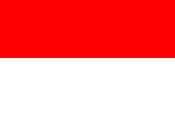 Bandera del país